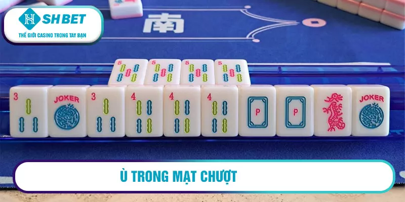 Ù trong mạt chượt